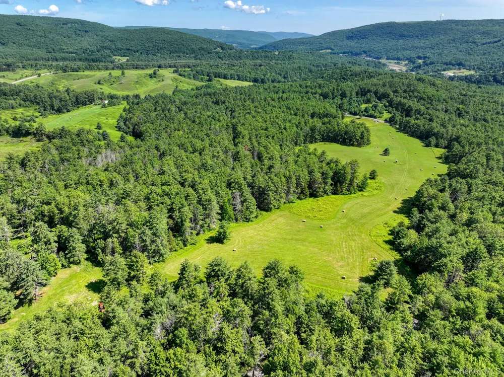 379 Stryker Road Gilboa, NY 12076