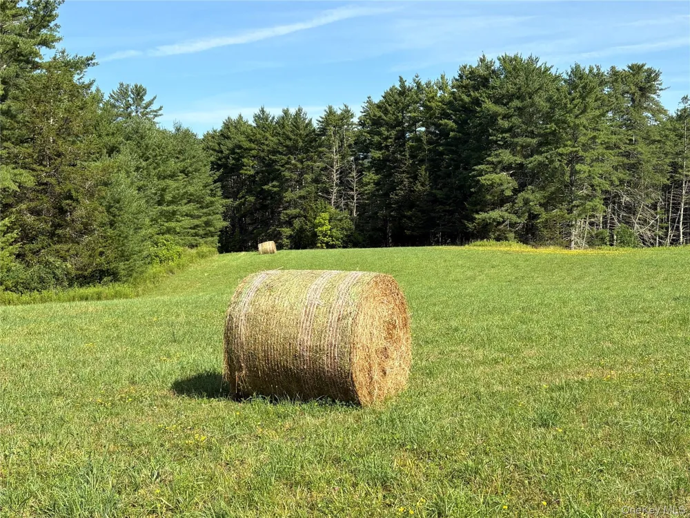 379 Stryker Road Gilboa, NY 12076