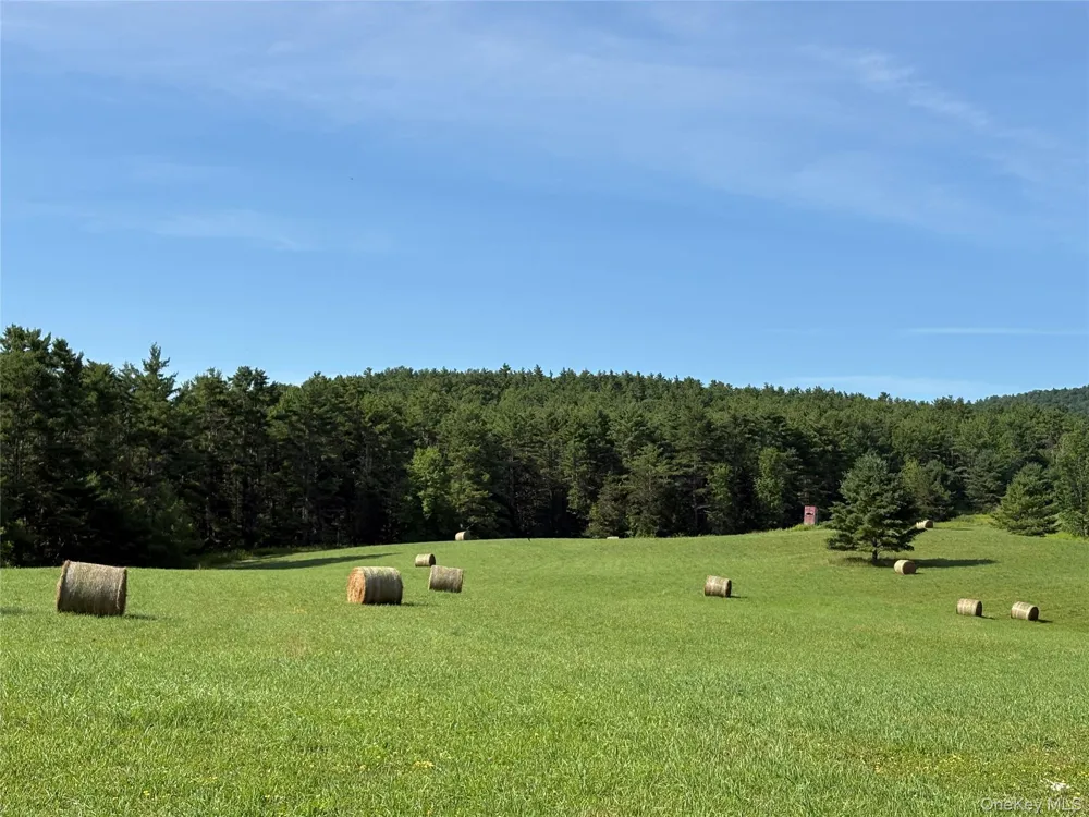379 Stryker Road Gilboa, NY 12076