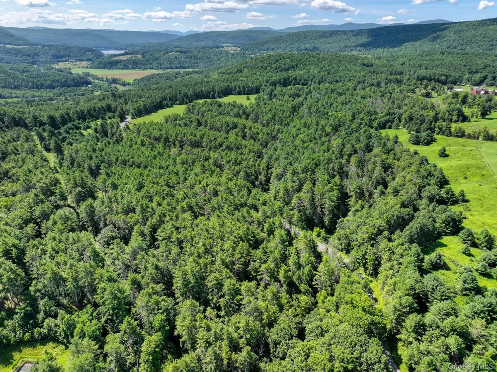 379 Stryker Road Gilboa, NY 12076