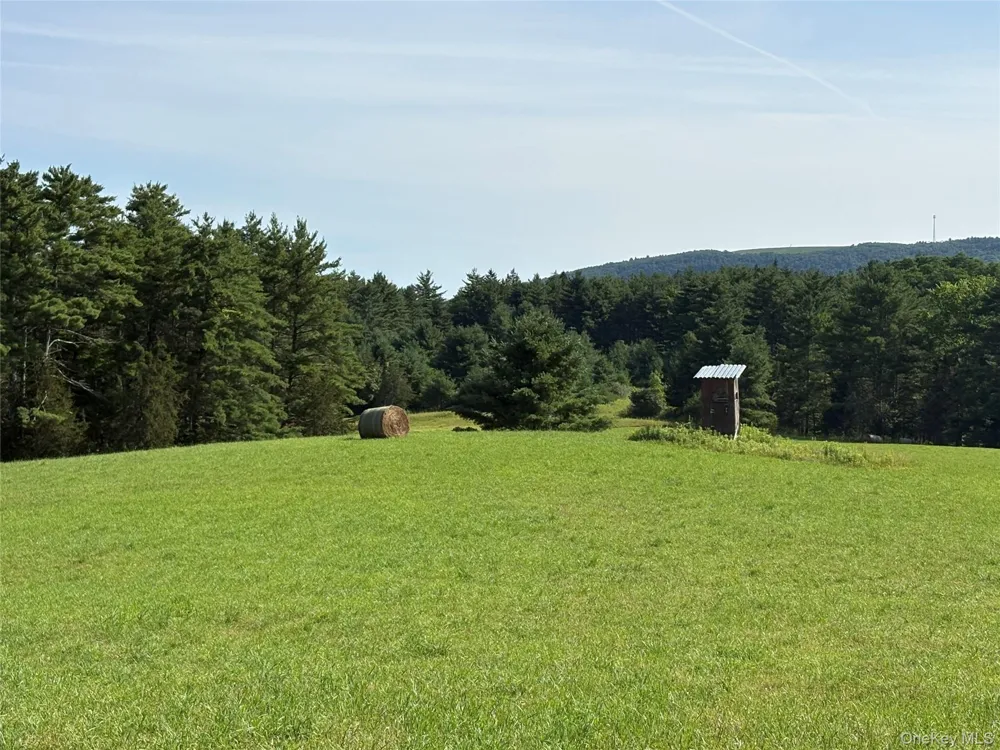 379 Stryker Road Gilboa, NY 12076