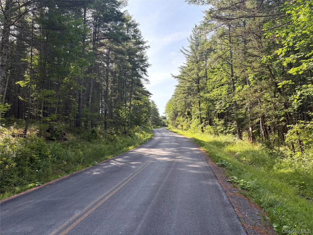 379 Stryker Road Gilboa, NY 12076