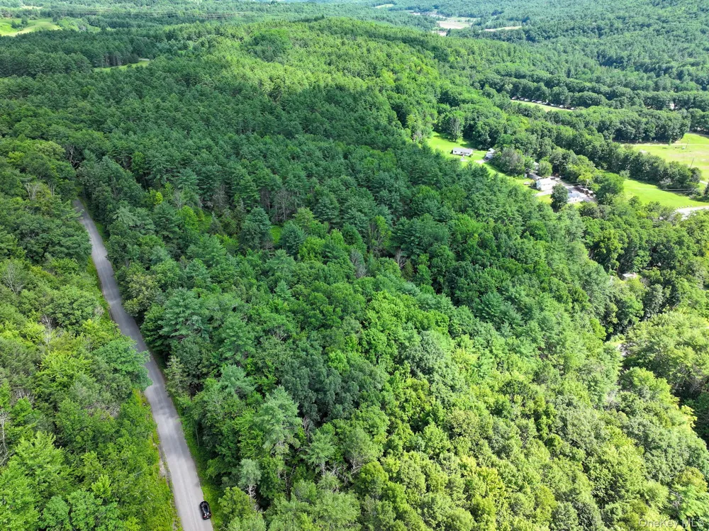 379 Stryker Road Gilboa, NY 12076