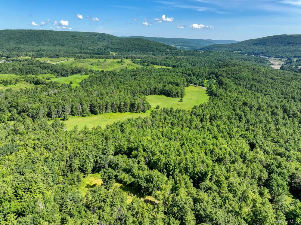 379 Stryker Road Gilboa, NY 12076