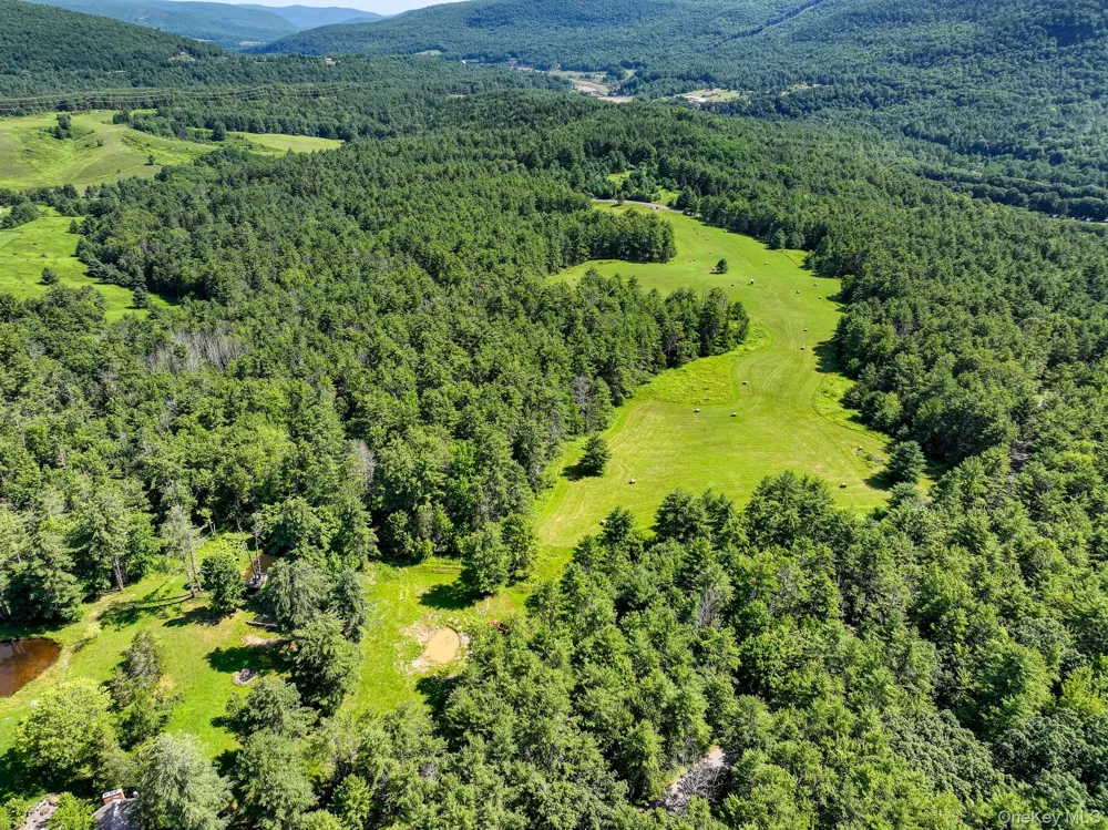 379 Stryker Road Gilboa, NY 12076