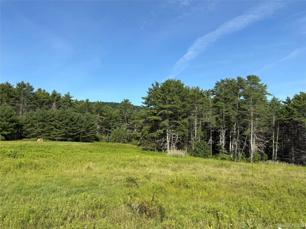 379 Stryker Road Gilboa, NY 12076