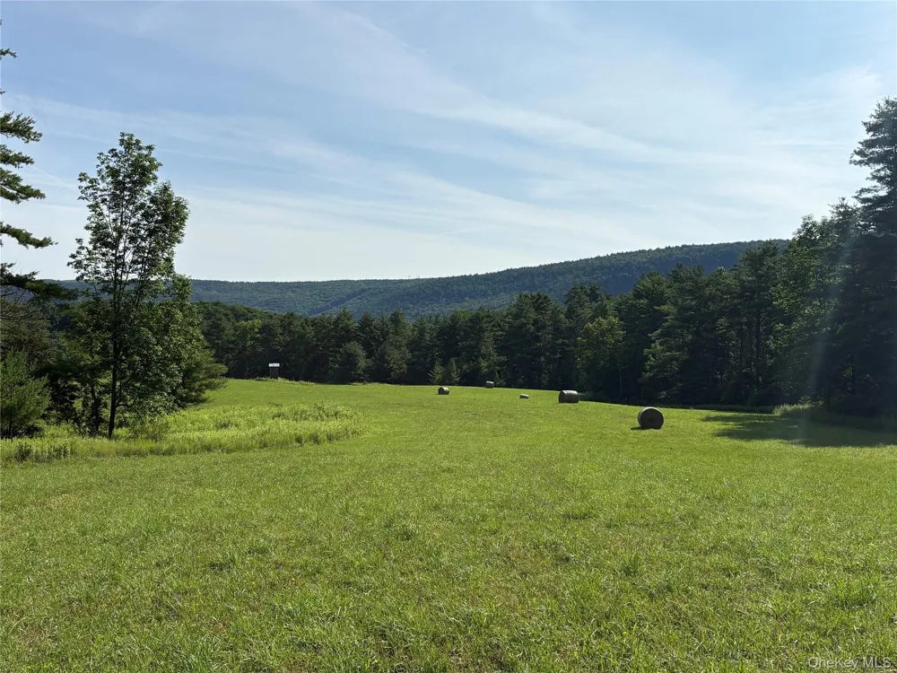 379 Stryker Road Gilboa, NY 12076
