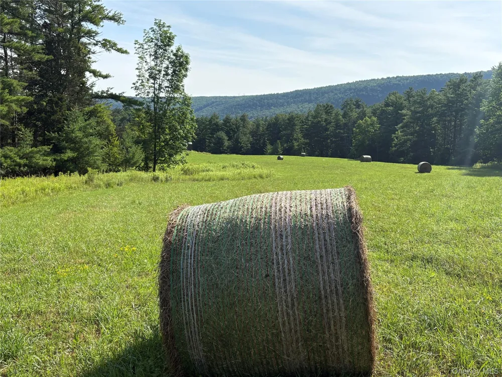 379 Stryker Road Gilboa, NY 12076