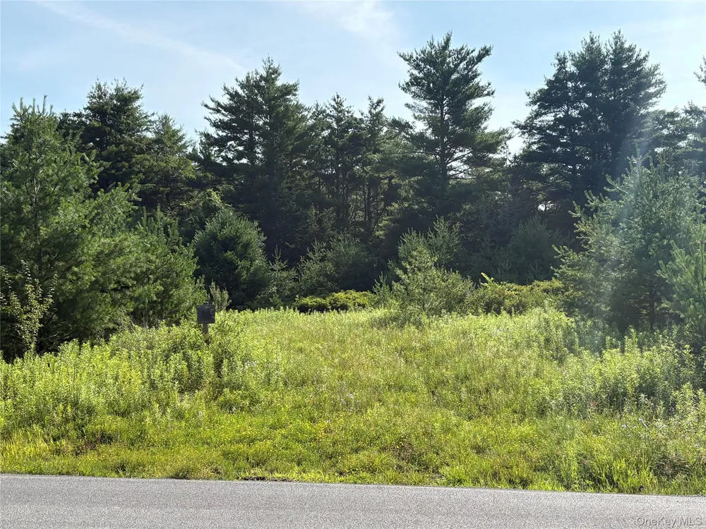 379 Stryker Road Gilboa, NY 12076