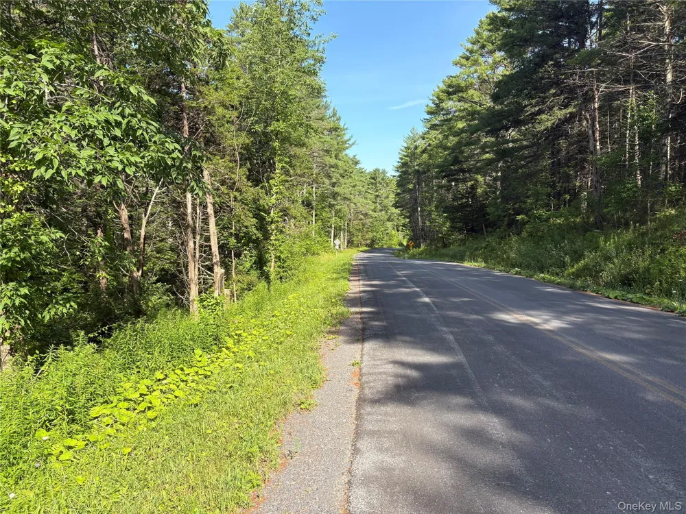 379 Stryker Road Gilboa, NY 12076