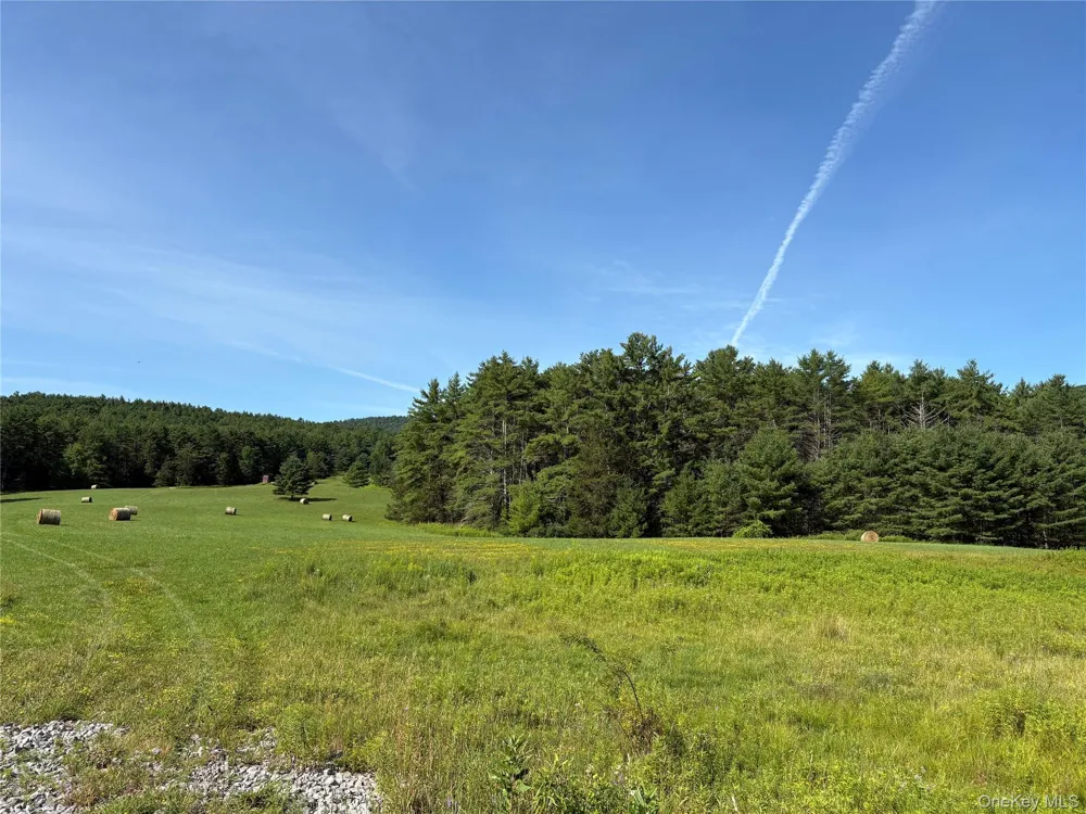 379 Stryker Road Gilboa, NY 12076