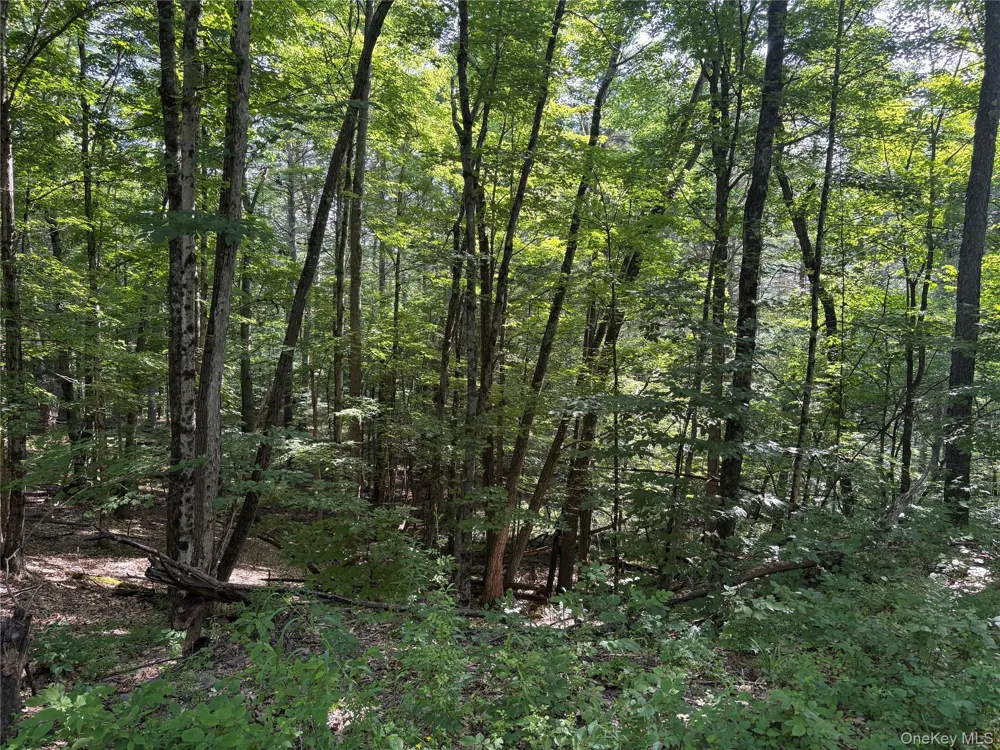 Crescent Road Gilboa, NY 12076