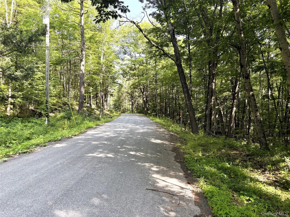 Crescent Road Gilboa, NY 12076