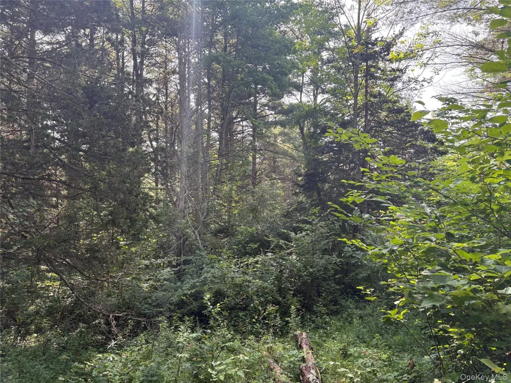 Crescent Road Gilboa, NY 12076