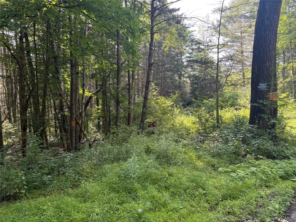 Crescent Road Gilboa, NY 12076