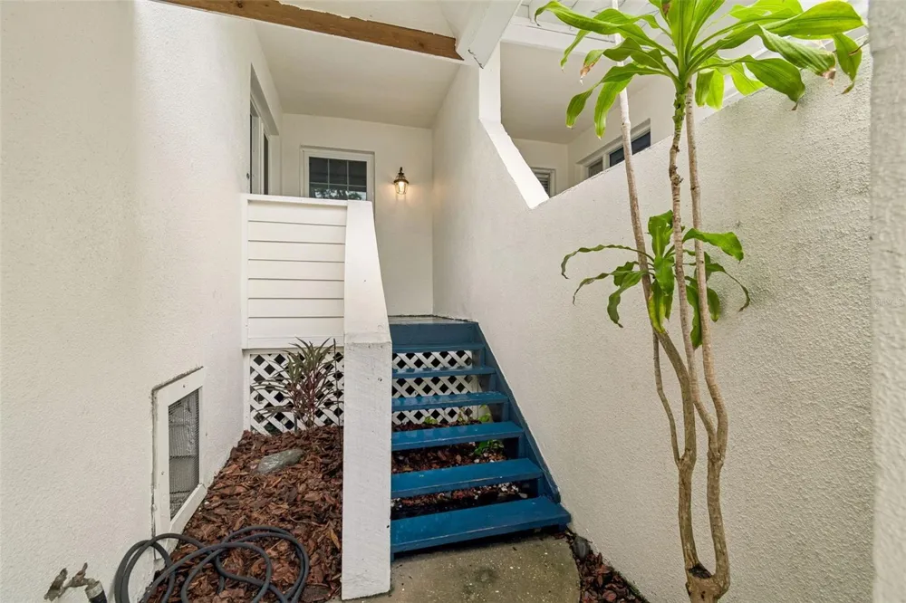 5203 BAYSHORE BOULEVARD #5 Tampa, FL 33611
