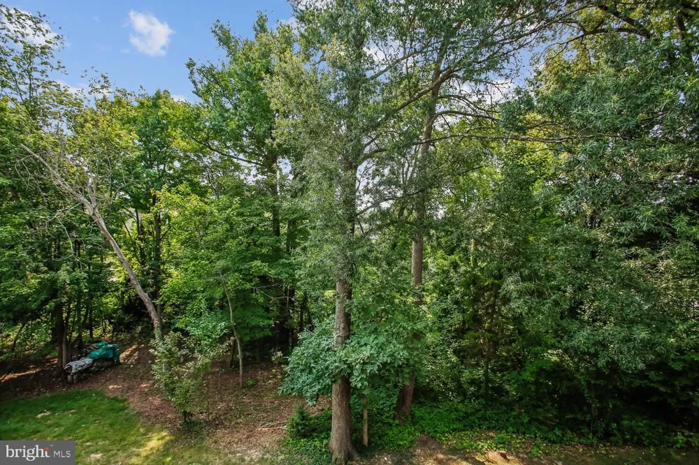 5944 NORHAM DRIVE Alexandria, VA 22315