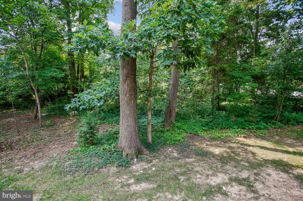 5944 NORHAM DRIVE Alexandria, VA 22315