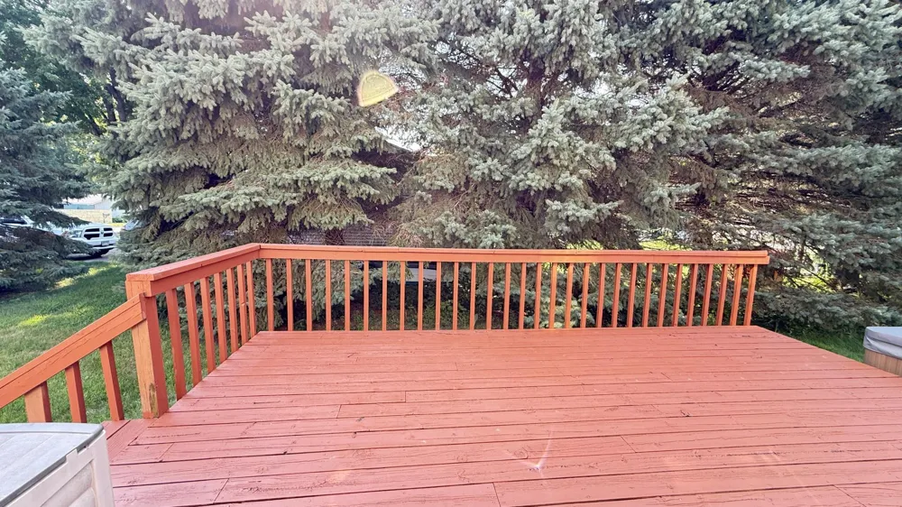 237 E Dahlstrom Avenue Appleton, MN 56208