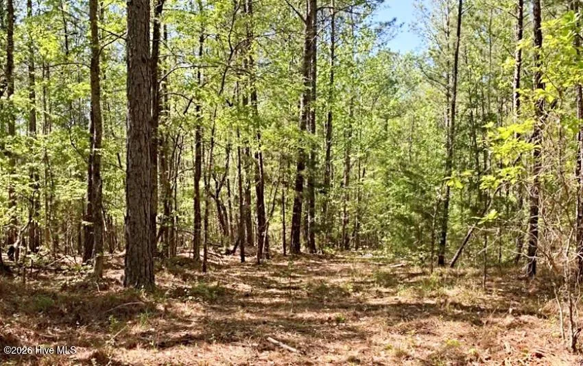 6630 Washington Road Appling, GA 30802