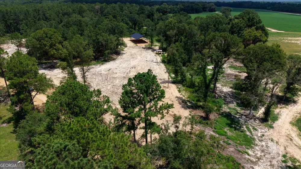 2218 Pittman RD Cobbtown, GA 30420