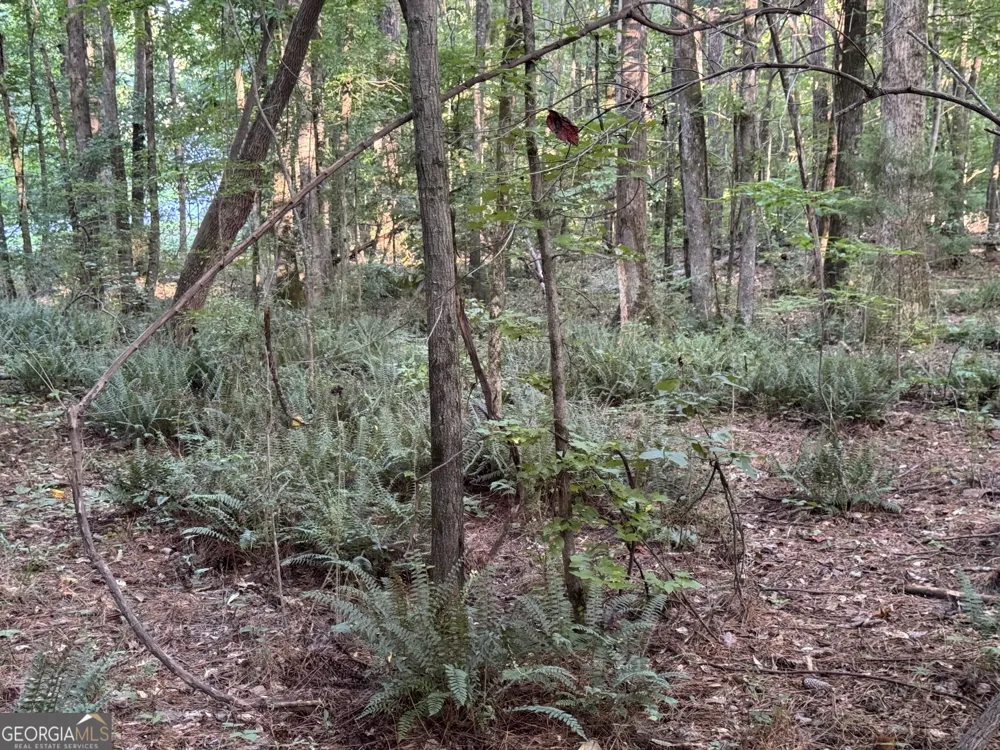 0 Lake Hampton DR Hampton, GA 30228