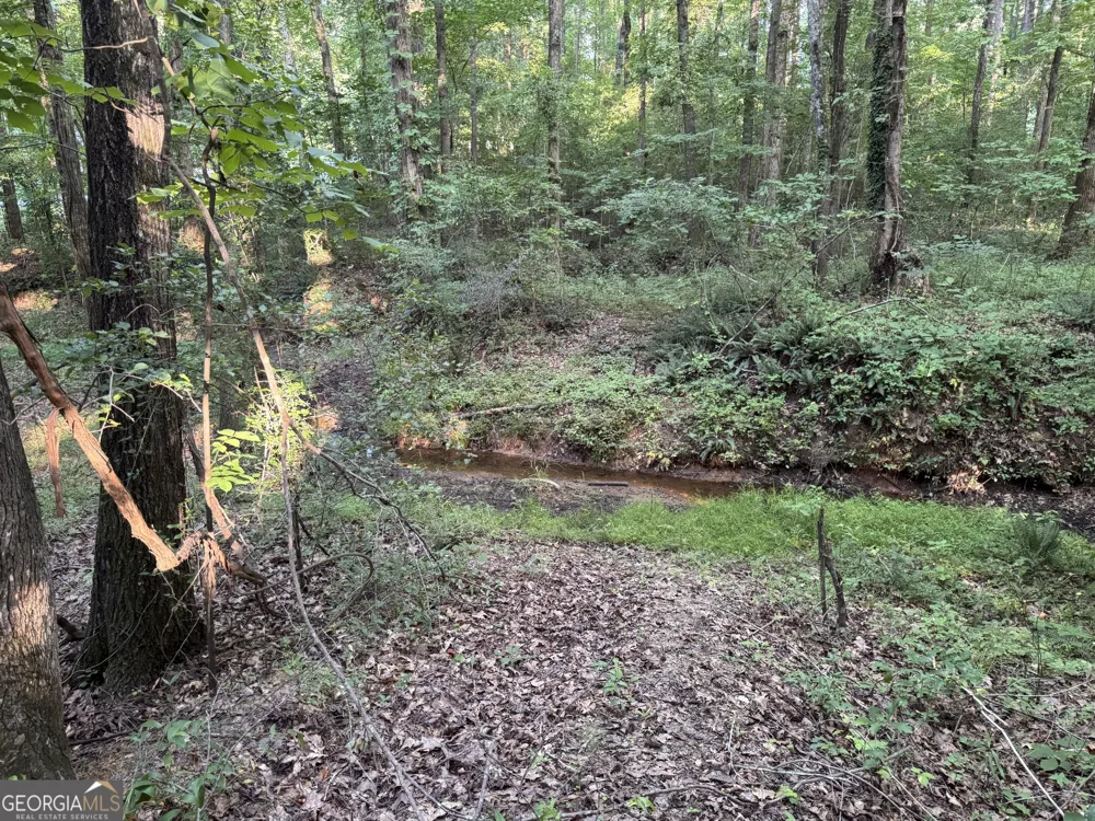 0 Lake Hampton DR Hampton, GA 30228
