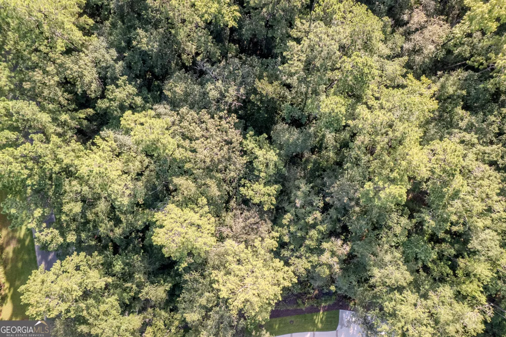 LOT 134 Canoe RUN Woodbine, GA 31569