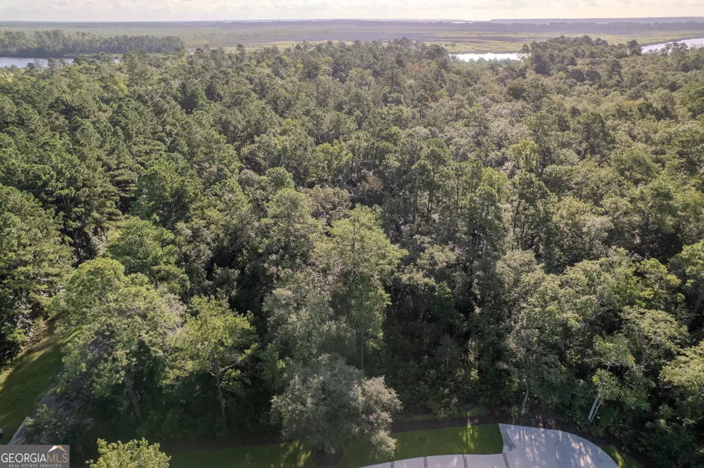 LOT 134 Canoe RUN Woodbine, GA 31569