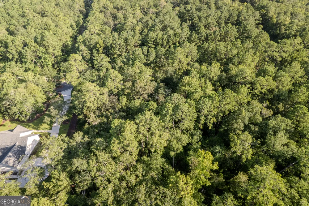 LOT 134 Canoe RUN Woodbine, GA 31569