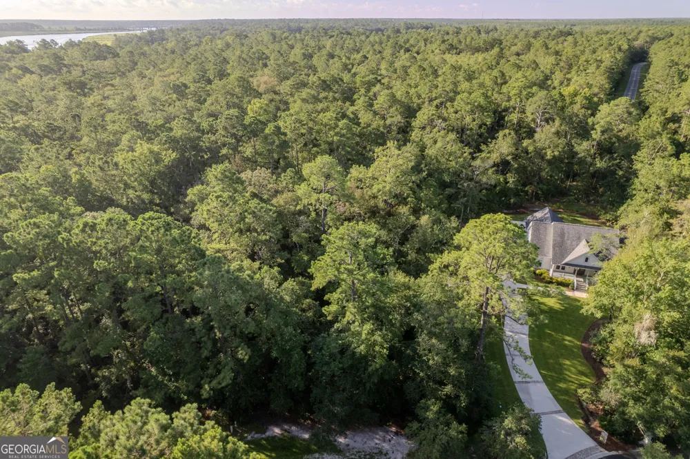 LOT 134 Canoe RUN Woodbine, GA 31569