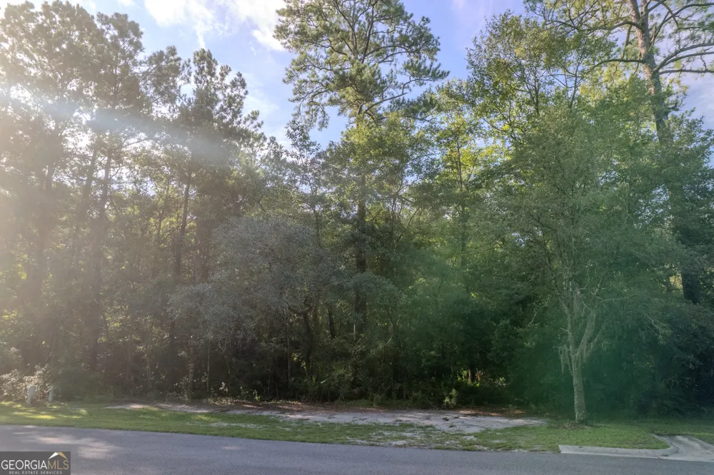 LOT 134 Canoe RUN Woodbine, GA 31569