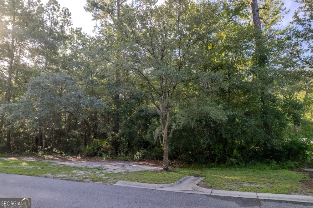 LOT 134 Canoe RUN Woodbine, GA 31569