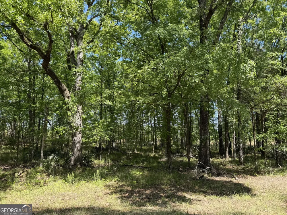 1000 Hidden Harbor RD Lincolnton, GA 30817