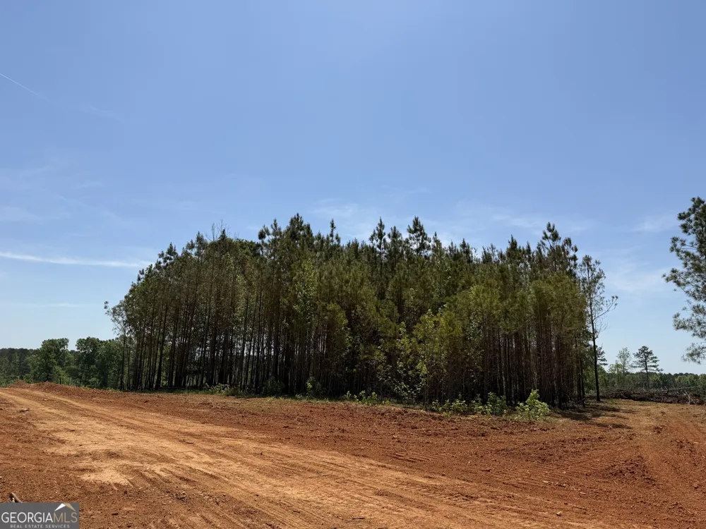 1000 Hidden Harbor RD Lincolnton, GA 30817