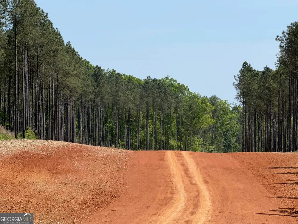 1000 Hidden Harbor RD Lincolnton, GA 30817