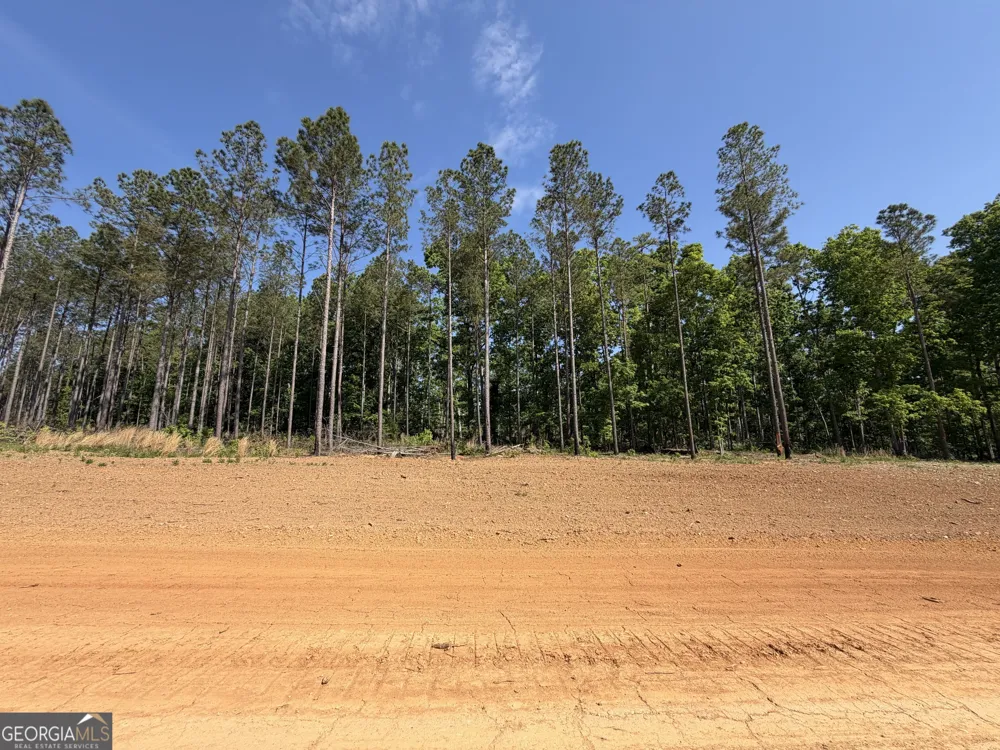 1000 Hidden Harbor RD Lincolnton, GA 30817
