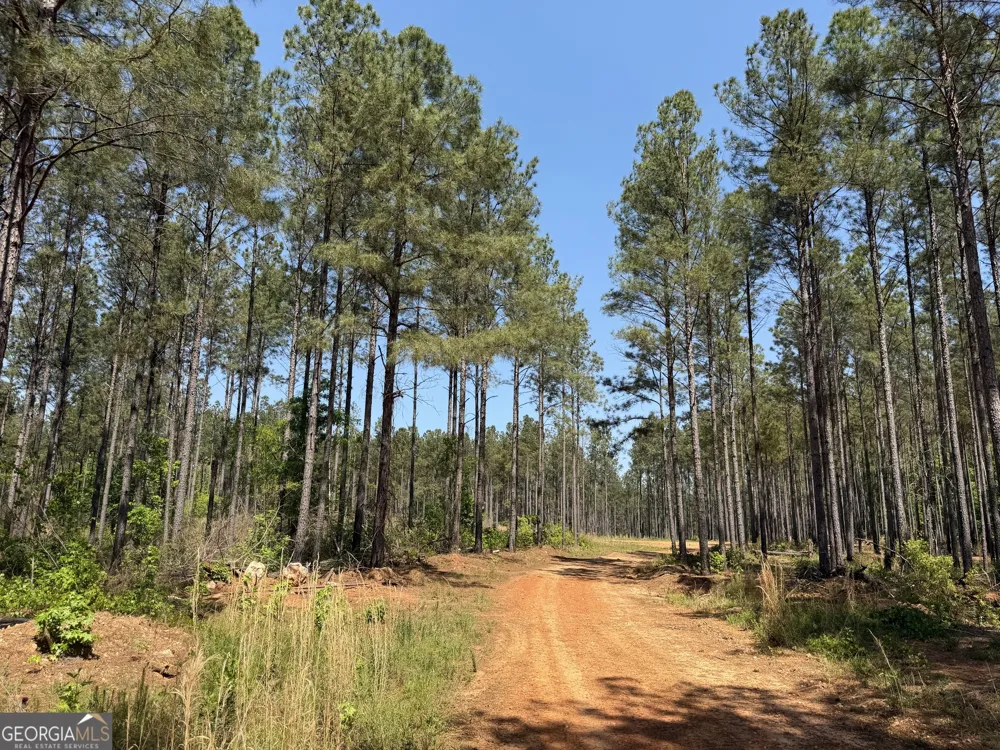 1000 Hidden Harbor RD Lincolnton, GA 30817