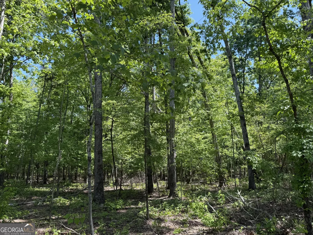 1000 Hidden Harbor RD Lincolnton, GA 30817