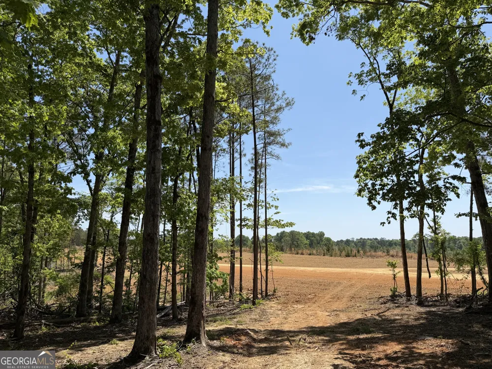 1000 Hidden Harbor RD Lincolnton, GA 30817
