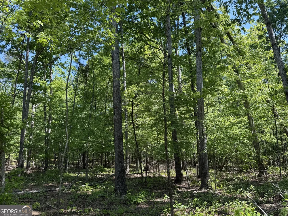 1000 Hidden Harbor RD Lincolnton, GA 30817