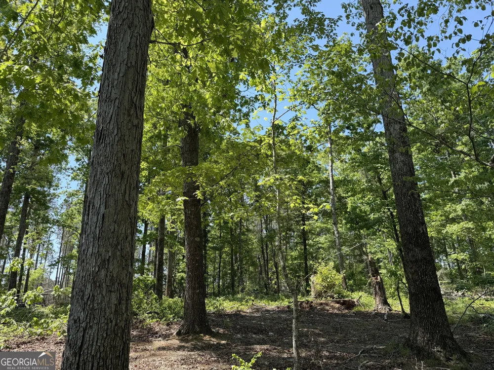 1000 Hidden Harbor RD Lincolnton, GA 30817