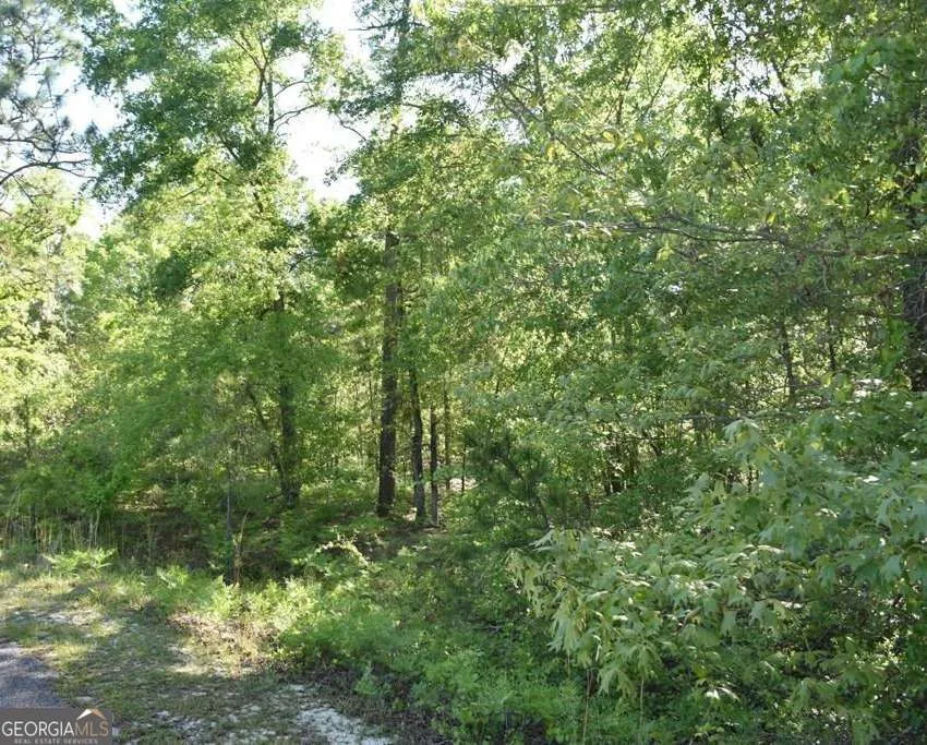 LOT 27 Chestnut LN Garfield, GA 30425