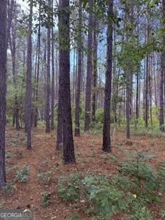 645 Bent Knee RD Keysville, GA 30816