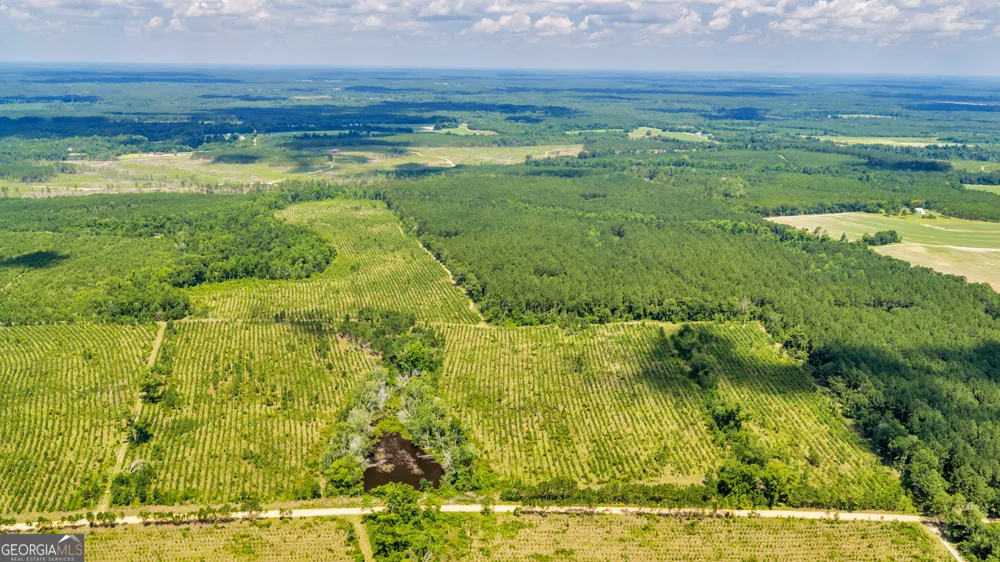 CLIFFORD Bishop Chapel Church RD Swainsboro, GA 30401