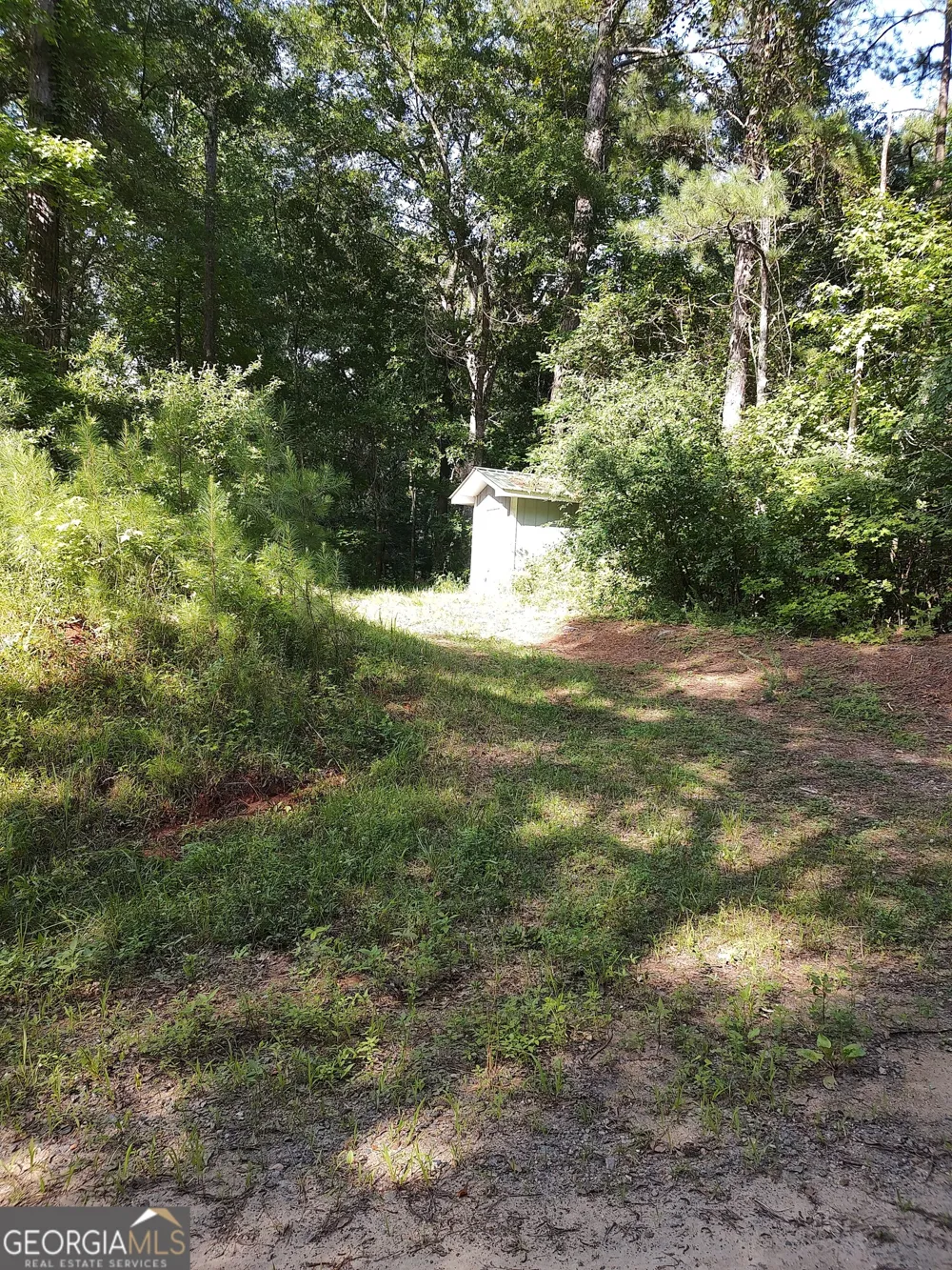 377 Hillsboro Lake RD Hillsboro, GA 31038