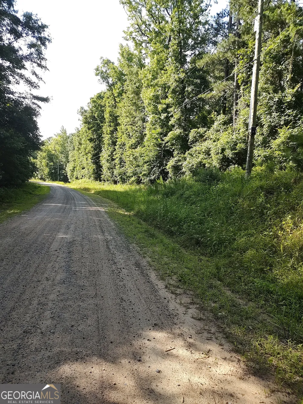 377 Hillsboro Lake RD Hillsboro, GA 31038