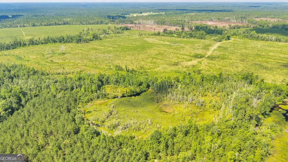 FLAT CREEK Bishop Chapel Church RD Swainsboro, GA 30401