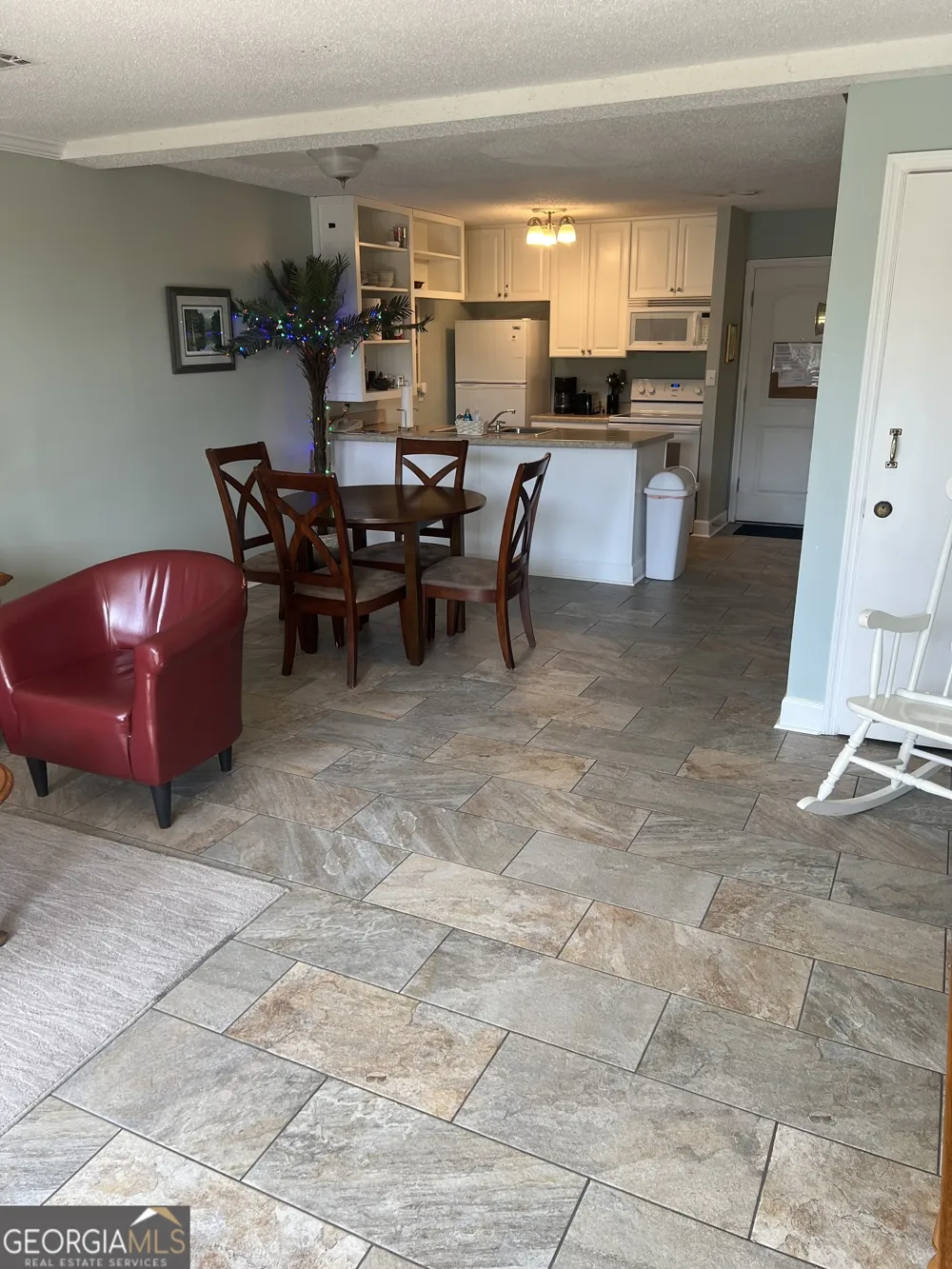 1175 N Beachview DR Jekyll Island, GA 31527