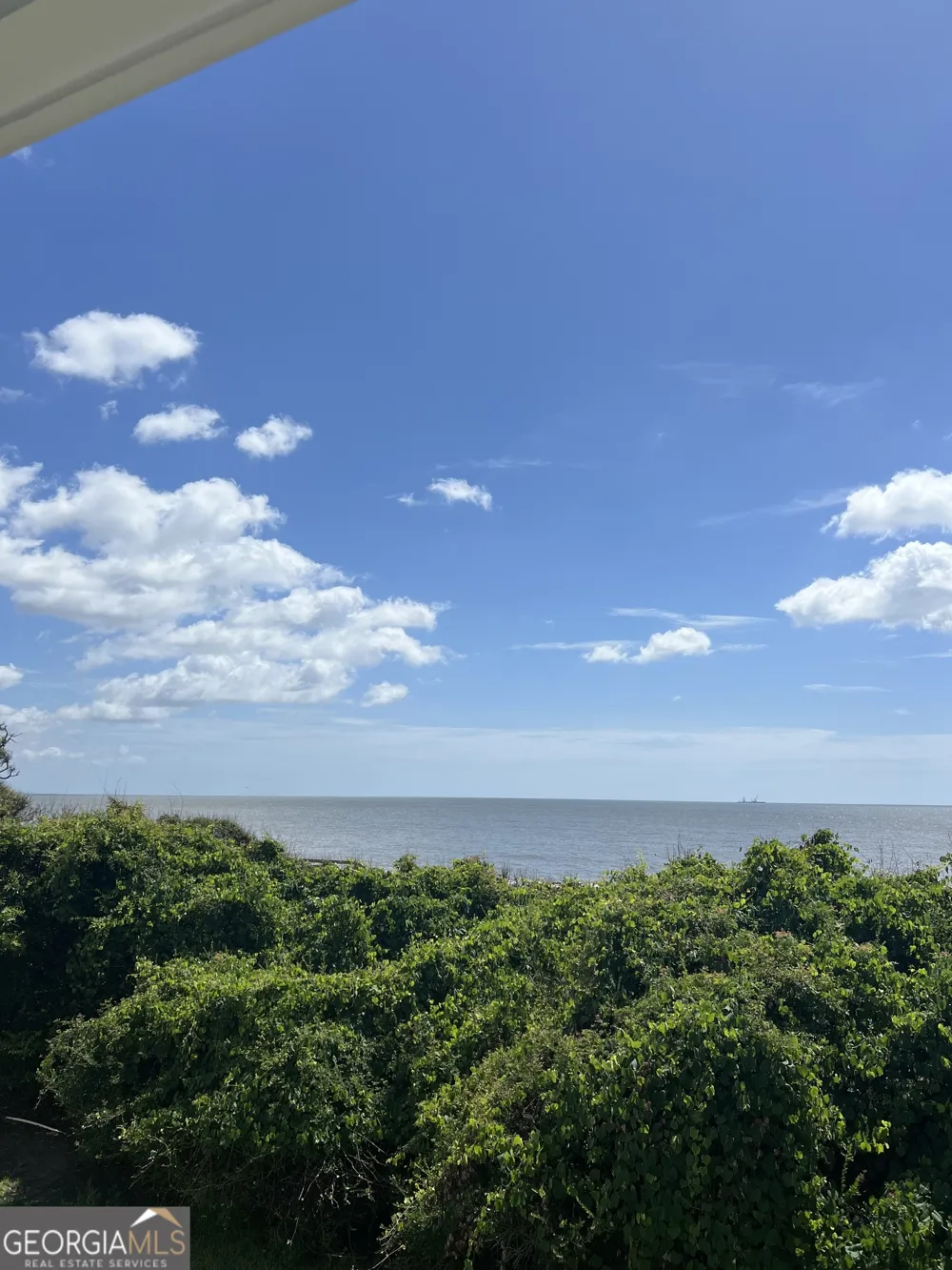 1175 N Beachview DR Jekyll Island, GA 31527